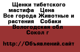 Щенки тибетского мастифа › Цена ­ 80 - Все города Животные и растения » Собаки   . Вологодская обл.,Сокол г.